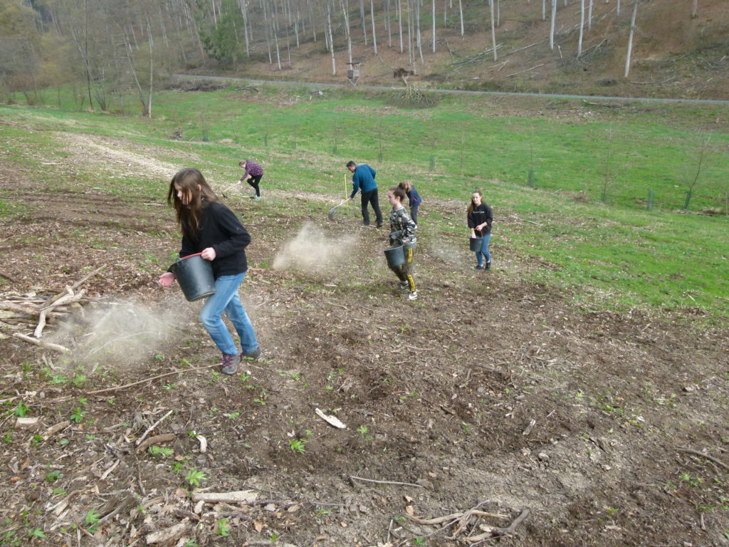 Schülerinnen bei der Bearbeitung der Waldwiese